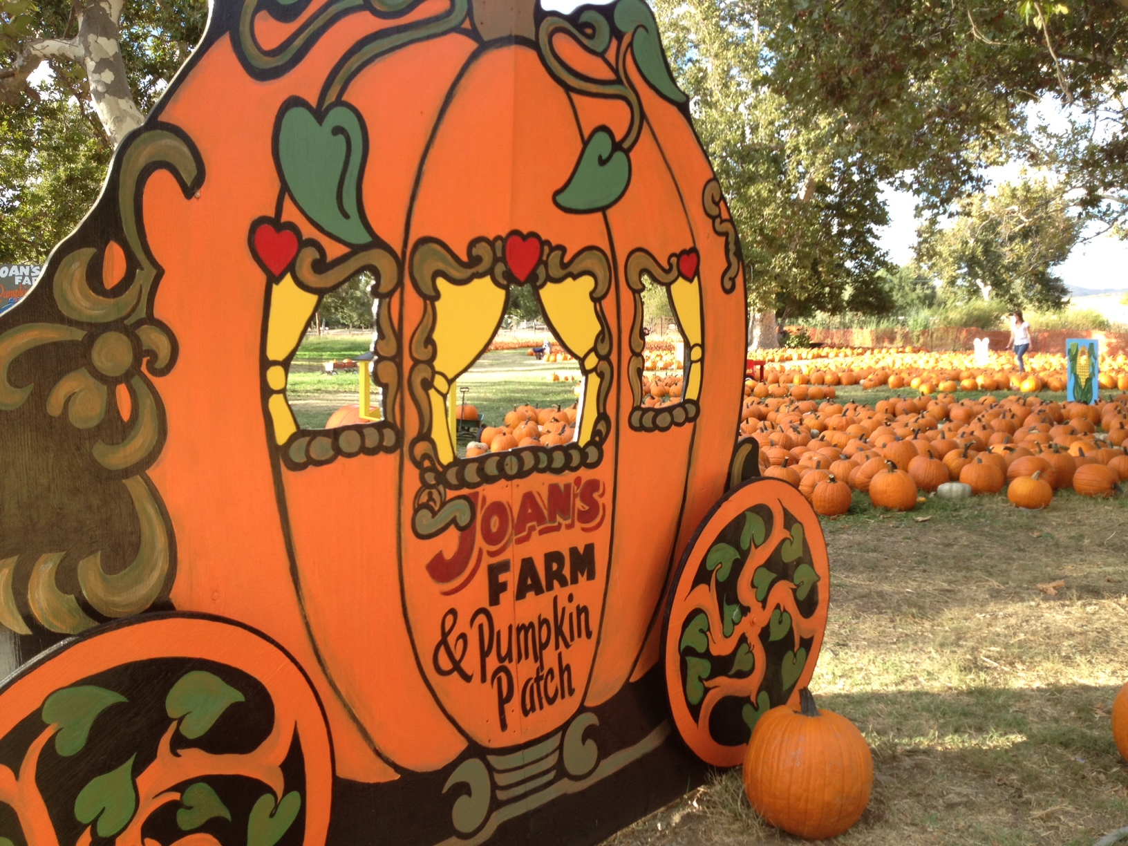 Home - Joan's Farm and Pumpkin Patch.